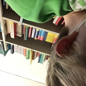 Profilbild von Jana Volkmer