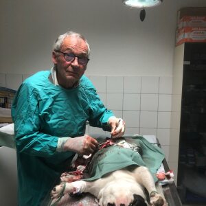 Profilbild von Jean-Yves Caille