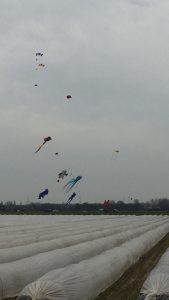 Profilbild von Jens Brechner