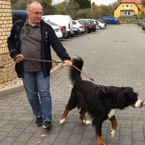 Profilbild von Jens Hoffmann
