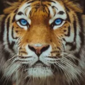 Profilbild von Jens Kroll