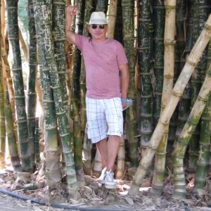 Profilbild von Jens Remmel