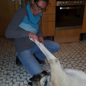 Profilbild von Jessica Meyer