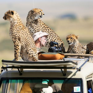 Profilbild von Joachim Fink