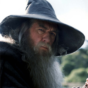 Profilbild von Joel Pauls