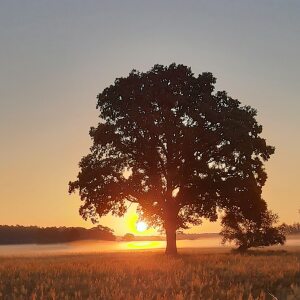 Profilbild von Jörg Grohnert