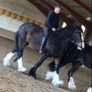 Profilbild von Joerg Hinkel