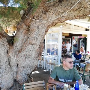 Profilbild von Jörg Kirch