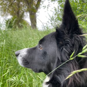Profilbild von Jörg Stegmann