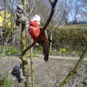 Profilbild von Jörn Eggert