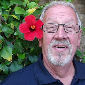 Profilbild von Johann Lammes