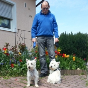 Profilbild von Josef Hermkes