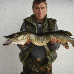 Profilbild von Josef Plötz