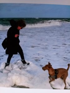 Profilbild von Judith Rösch