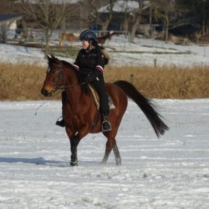 Profilbild von Judith Thiele