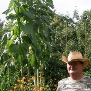 Profilbild von Jürgen Herrmann