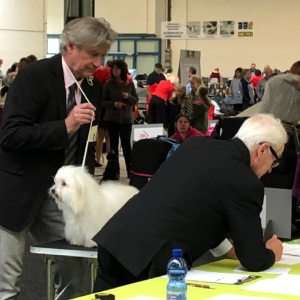 Profilbild von Jürgen Menger