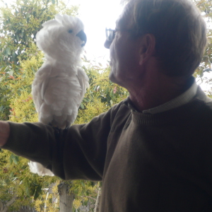 Profilbild von Jürgen Tillert