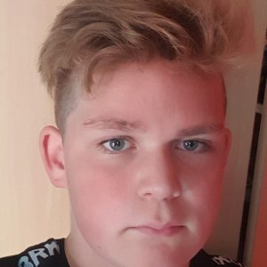 Profilbild von Julian Gellink