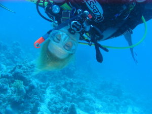 Profilbild von Juliane Dippel