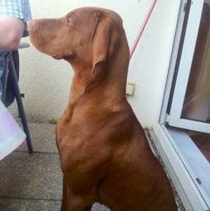 Profilbild von Kalle Littwin