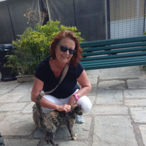 Profilbild von Karin Böhm