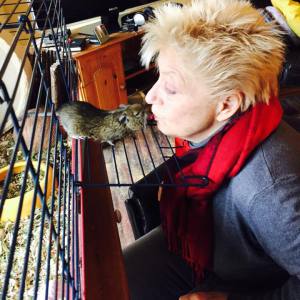 Profilbild von Karin Boeker