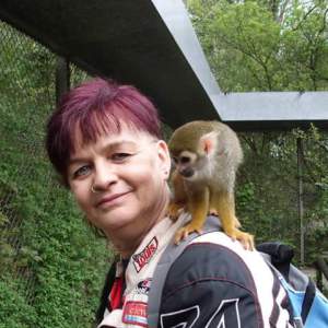 Profilbild von Karin Dittmer