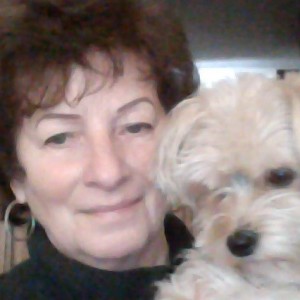 Profilbild von Karin Holt