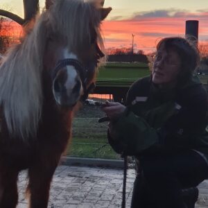 Profilbild von Karin Jendryke