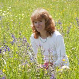 Profilbild von Karin Keller-Lemke