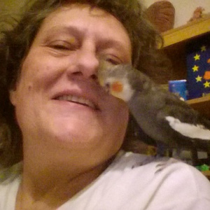 Profilbild von Karin Krüger