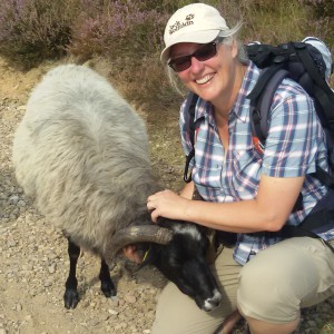 Profilbild von Karin Volkmann