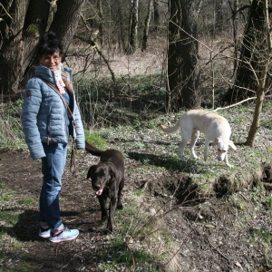 Profilbild von Karin Wucherpfennig