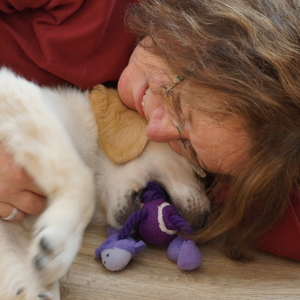 Profilbild von Karin Wujanz