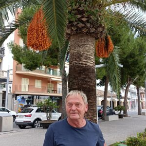 Profilbild von Karl-Jochen Laß