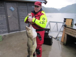 Profilbild von Karlheinz Klönhammer