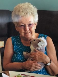 Profilbild von Karlheinz Pütter