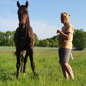 Profilbild von Karola Bady