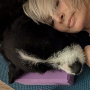 Profilbild von Karola Lindner