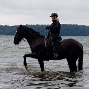 Profilbild von Karolin Friedrichs