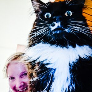 Profilbild von Katharina Schmitt