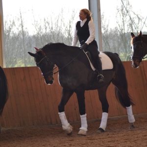 Profilbild von Katja Bührig
