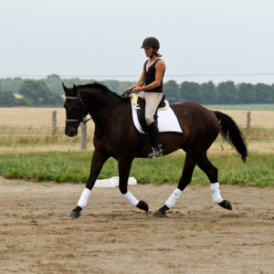 Profilbild von Katja Kleinke