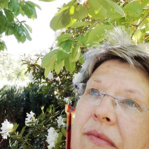 Profilbild von Katrin Hiller