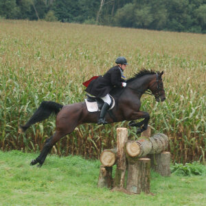 Profilbild von Katrin Liewald