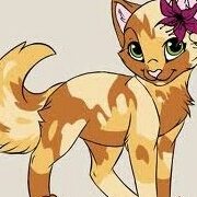 Profilbild von Katrin Schultz