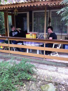 Profilbild von Katrin Weber