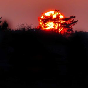 Profilbild von Kerstin Heuser-Rösler