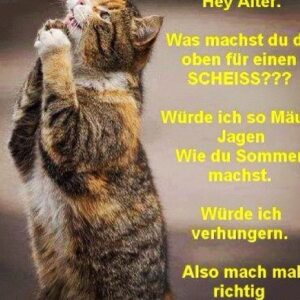 Profilbild von Kerstin Siebers